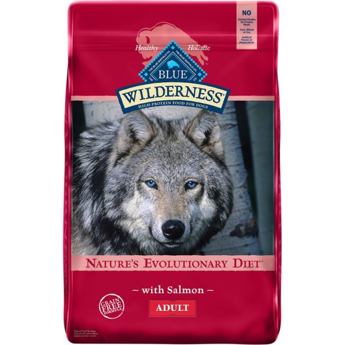 Blue Buffalo Wilderness Salmon Recipe Grain-Free Adult Dry Dog Food - Image 1