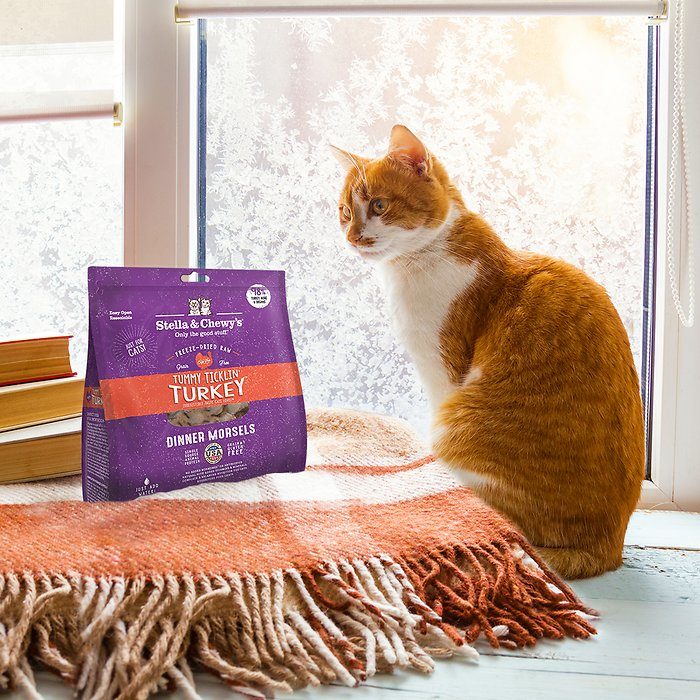 Stella & Chewy's Tummy Ticklin' Turkey Dinner Morsels Freeze-Dried Raw Cat Food - Image 4