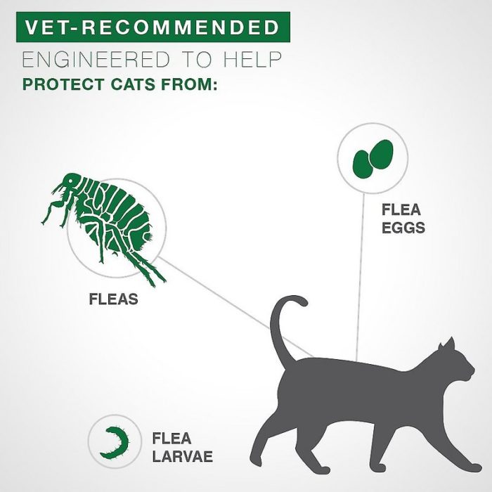Advantage II Flea Treatment for Large Cats, over 9 lbs - Image 3
