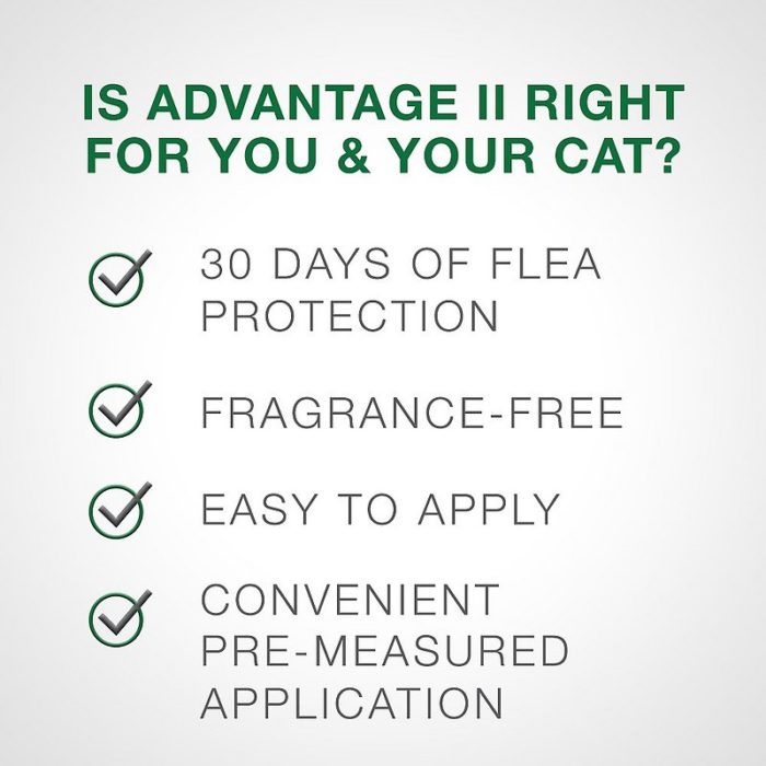 Advantage II Flea Treatment for Large Cats, over 9 lbs - Image 6