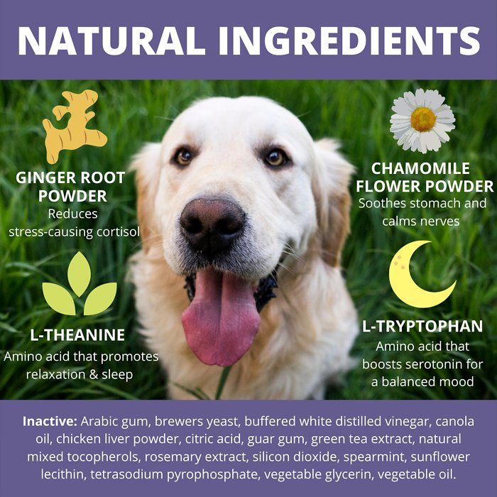 Under the Weather Calming Soft Chews Dog Supplement, 60-count - Image 5