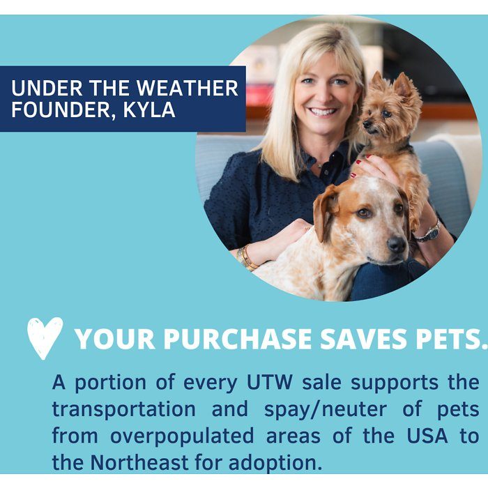 Under the Weather Calming Soft Chews Dog Supplement, 60-count - Image 8