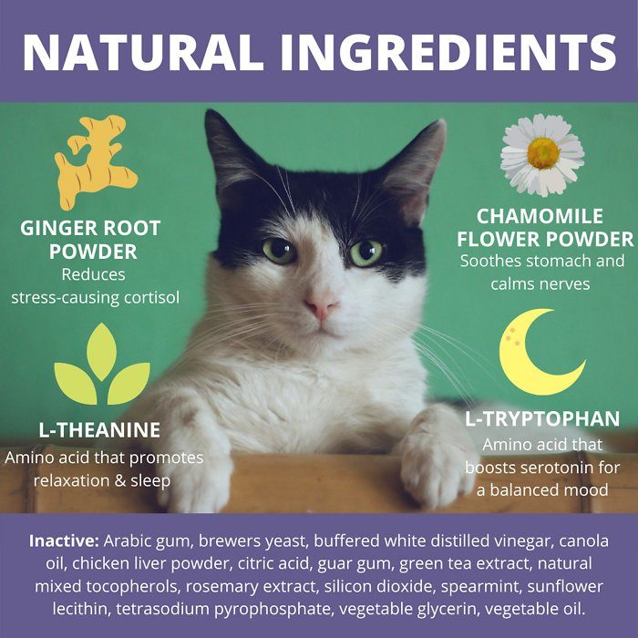 Under the Weather Calming Soft Chews Cat Supplement, 60 count - Image 4