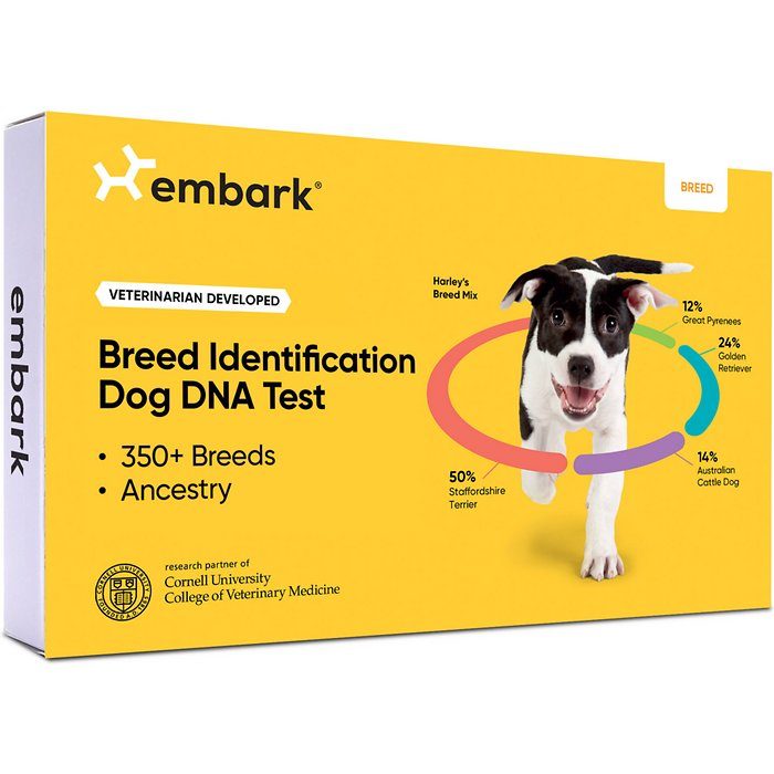 Embark Breed Identification Dog DNA Test - Image 1