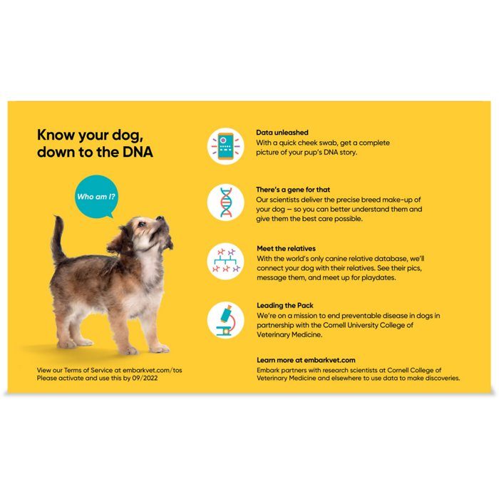 Embark Breed Identification Dog DNA Test - Image 2