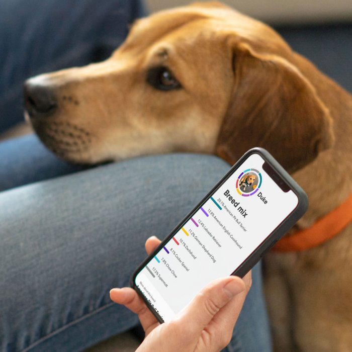 Embark Breed Identification Dog DNA Test - Image 7