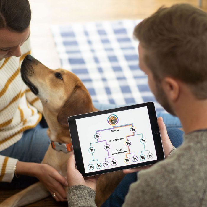 Embark Breed Identification Dog DNA Test - Image 8