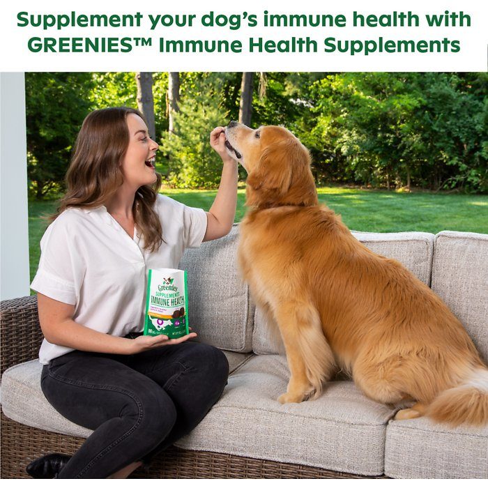 Greenies Chicken Flavored Soft Chew Immune Supplement for Dogs, 90 count, 13.9-oz bag - Image 5