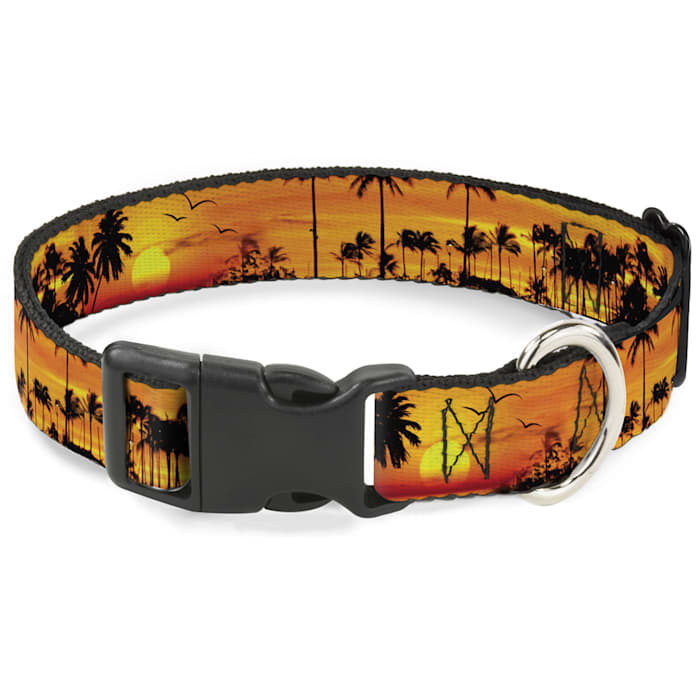 Buckle-Down Golden Sunset Plastic Clip Dog Collar - Image 1