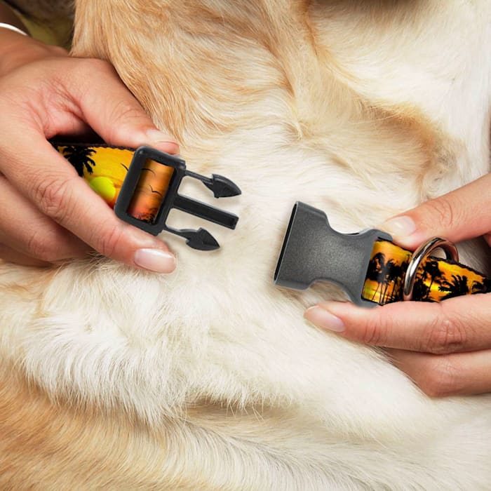Buckle-Down Golden Sunset Plastic Clip Dog Collar - Image 2