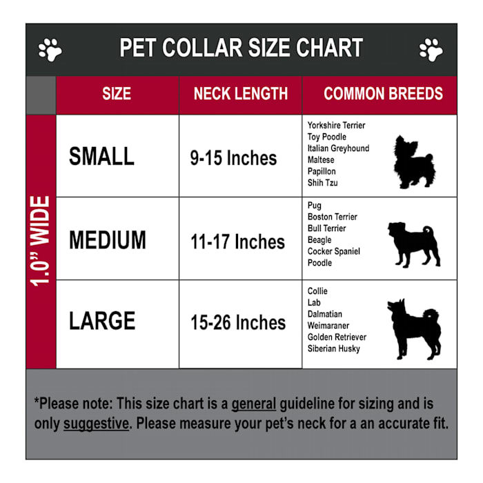 Buckle-Down Cali Bear White Plastic Clip Dog Collar - Image 3