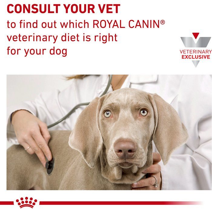 Royal Canin Veterinary Diet Hydrolyzed Protein Adult HP Dry Dog Food - Image 9