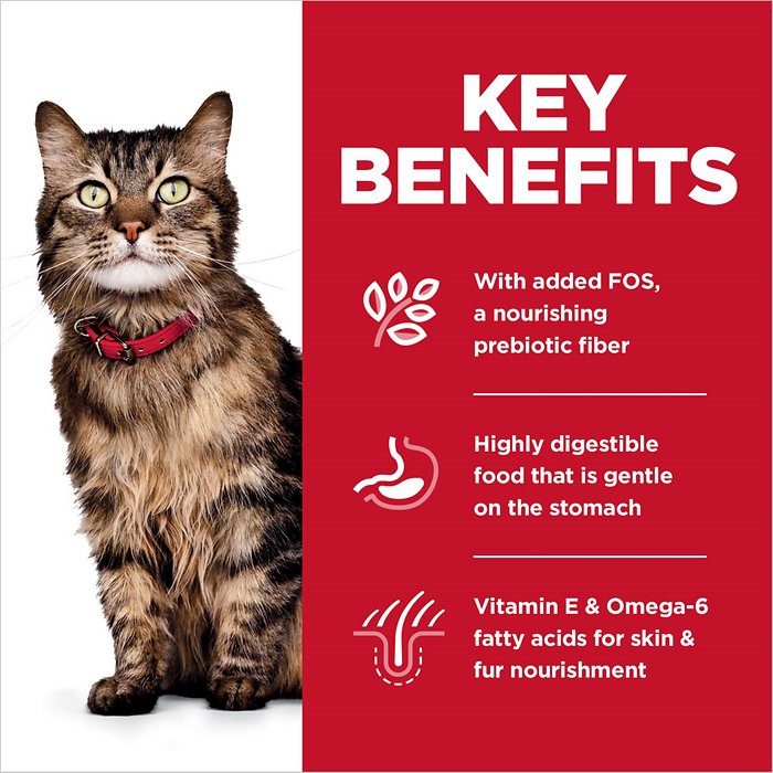 Hill's Science Diet Adult Sensitive Stomach & Skin Chicken & Rice Recipe Dry Cat Food - Image 5