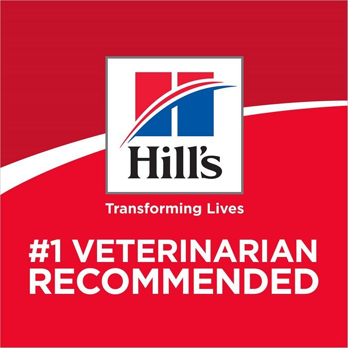 Hill's Science Diet Adult Sensitive Stomach & Skin Chicken & Rice Recipe Dry Cat Food - Image 6