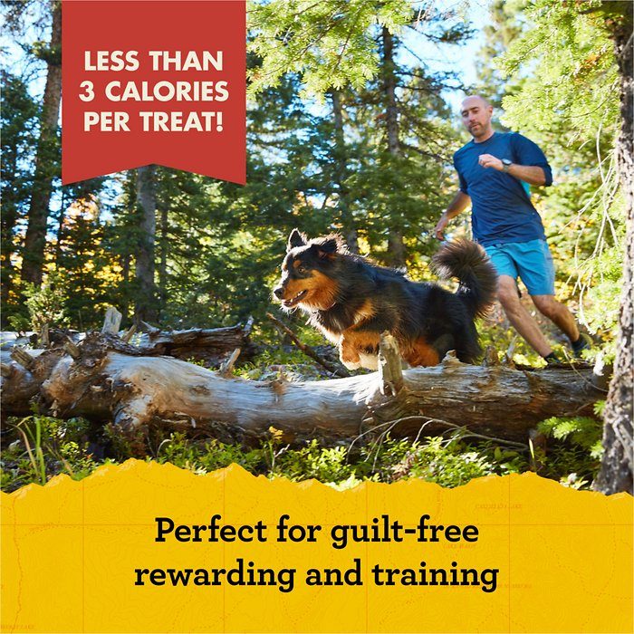 Zuke's Mini Naturals Chicken Recipe Training Dog Treats - Image 4