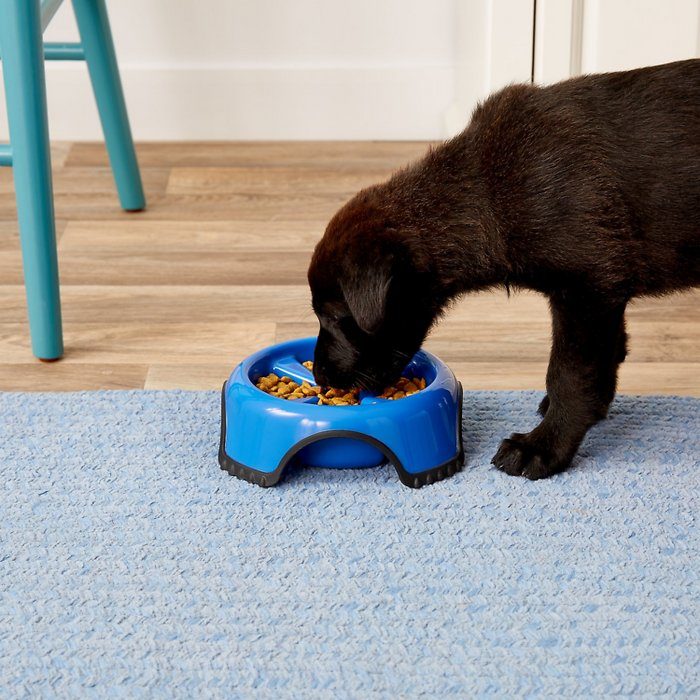 JW Pet Skid Stop Slow Feed Dog Bowl, Color Varies - Image 2
