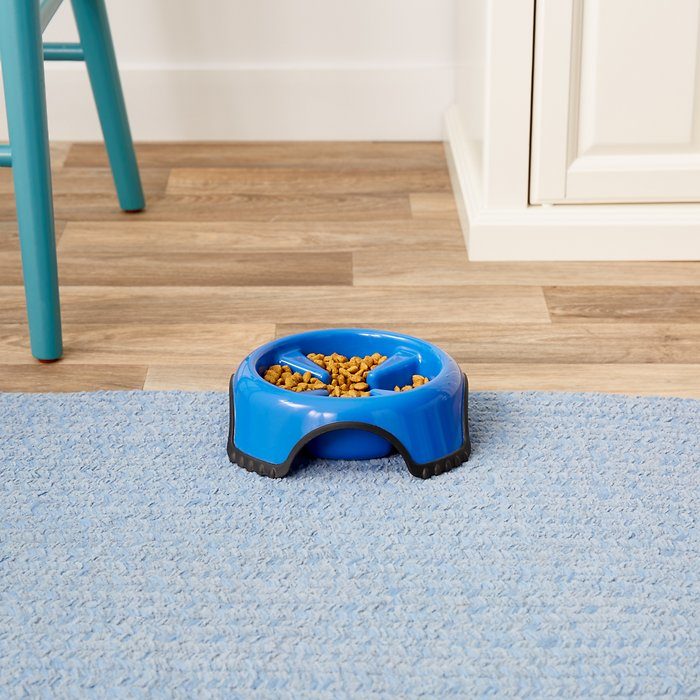 JW Pet Skid Stop Slow Feed Dog Bowl, Color Varies - Image 3