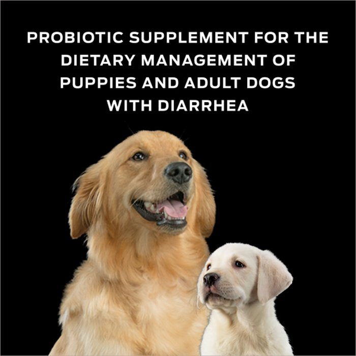Purina Pro Plan FortiFlora Canine Probiotic Supplement for Dogs - Image 5