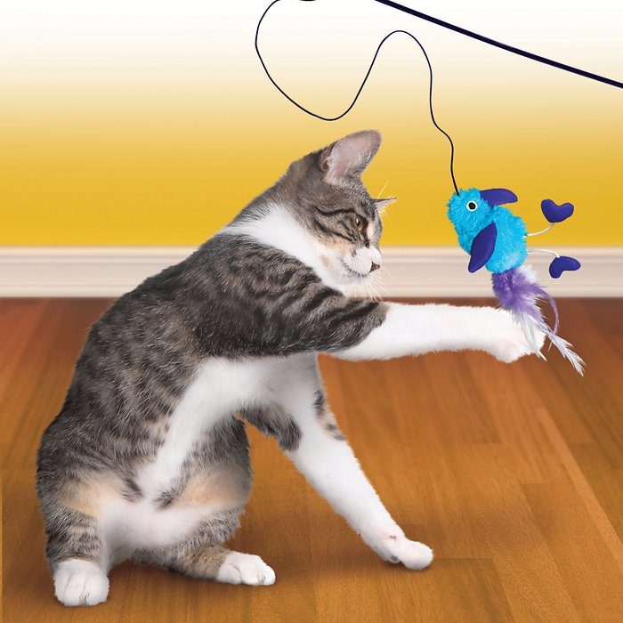 KONG Active Feather Teaser Cat Toy, Color Varies - Image 2