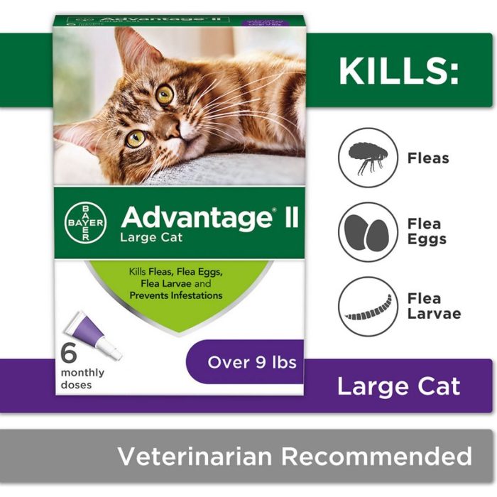 Advantage II Flea Treatment for Large Cats, over 9 lbs - Image 2