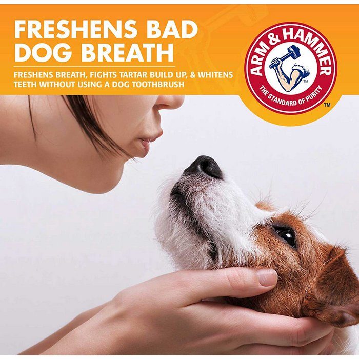 Arm & Hammer Flavorless & Odorless Tartar Control Dog Dental Water Additive, 16-oz bottle - Image 4