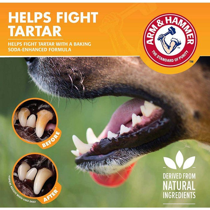 Arm & Hammer Flavorless & Odorless Tartar Control Dog Dental Water Additive, 16-oz bottle - Image 5