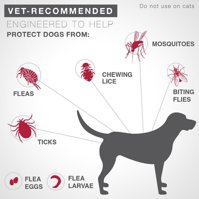 K9 Advantix II Flea & Tick Treatment for Small Dogs, 4-10 lbs - Image 4