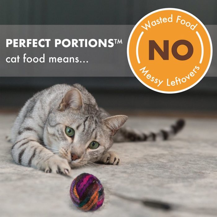 Nutro Perfect Portions Pate Multi-Pack Real Turkey & Real Chicken Wet Cat Food, 1.98 lbs, Count of 12 - Image 5