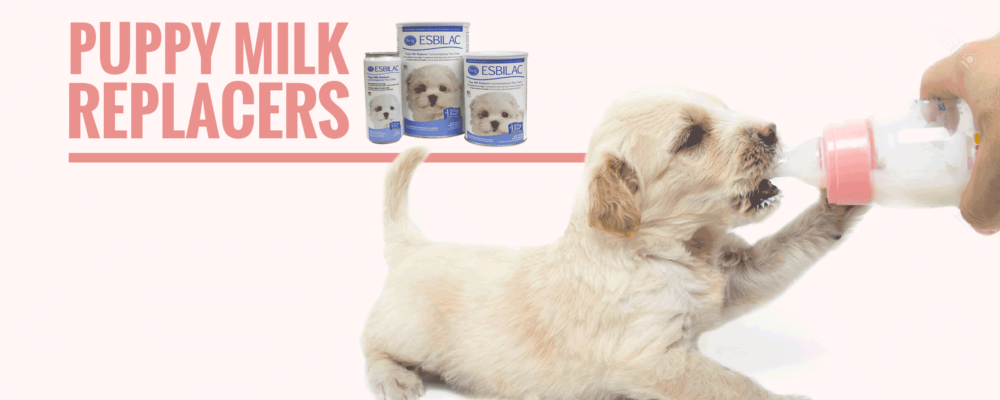 puppy-milk-replacers