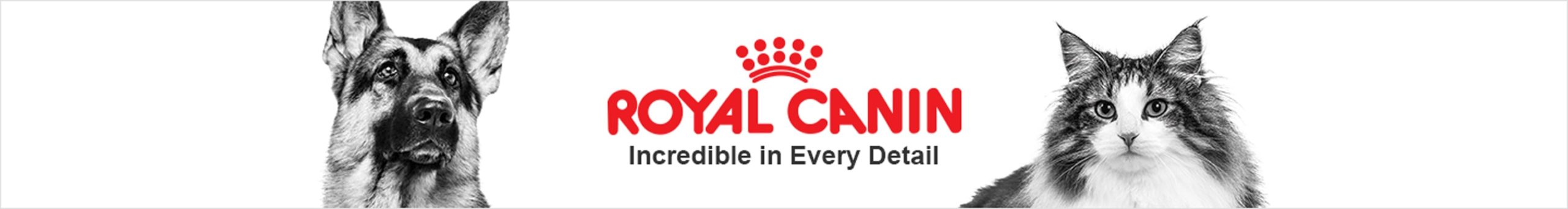 royal-canin-brand-shop-banner-2880w-384h