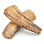 Advance Pet Product Water Buffalo Horn Core Dog Treats, Large 8"