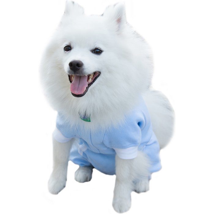 Tulane's Closet Cover Me by Tui Adjustable Fit Step-Into for Dog, Blue - Image 1