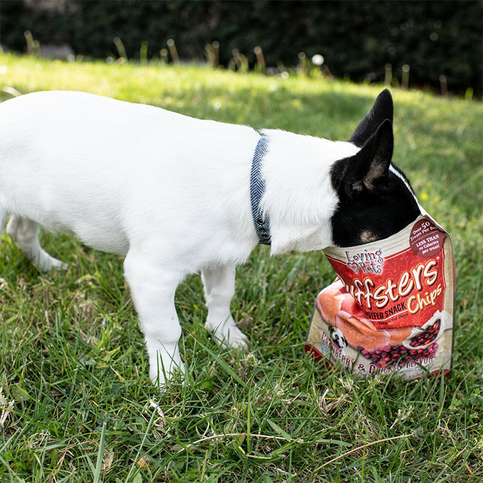 Loving Pets Puffsters Cranberry and Chicken Chips Dog Treats, 4-oz - Image 2