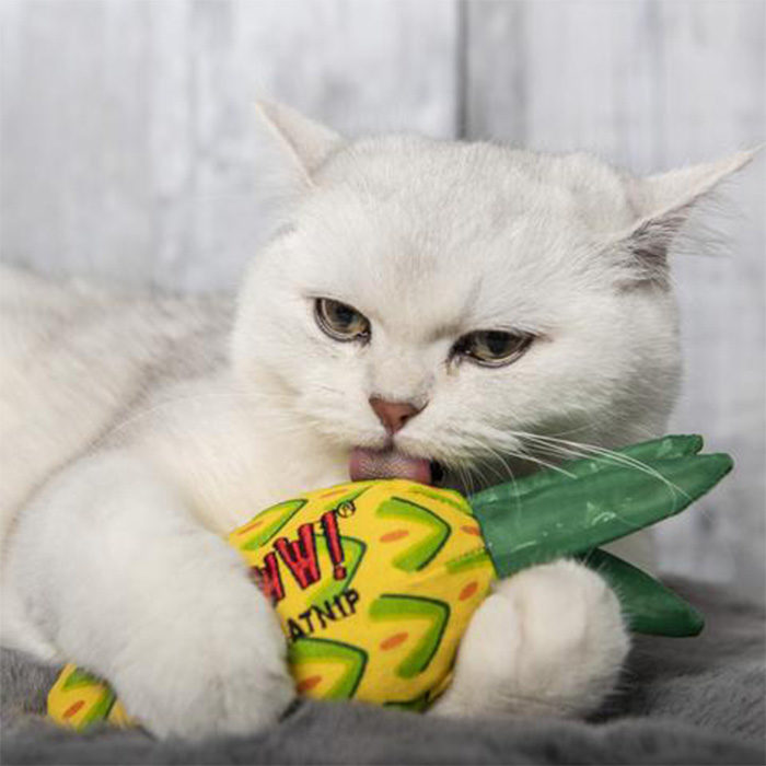 Yeowww! Pineapple Catnip Cat Toy - Image 4