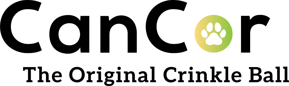 CANCOR Logo RGB Transparent BG HiRes