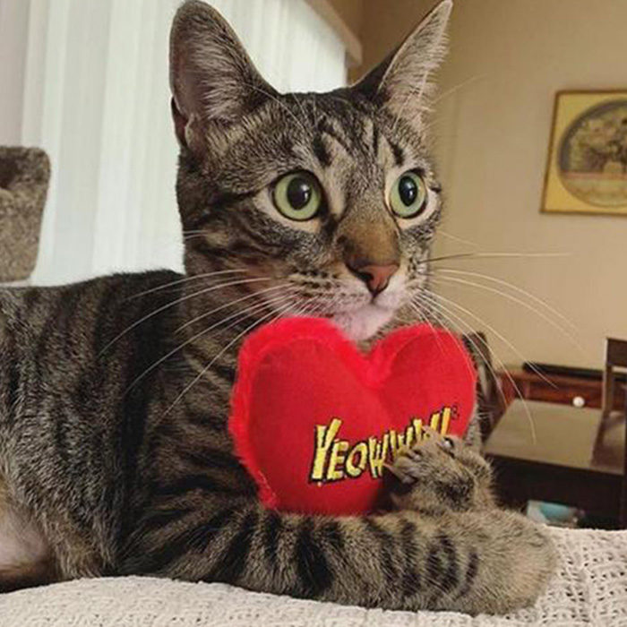 Yeowww! 12 Hearrrt Attacks with Display Stand Catnip Cat Toy - Image 2