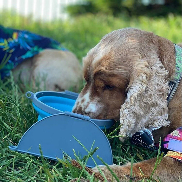 Loving Pets Bella Roma Travel Dog Bowl - Image 2