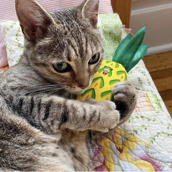 Yeowww! Pineapple Catnip Cat Toy - Image 3