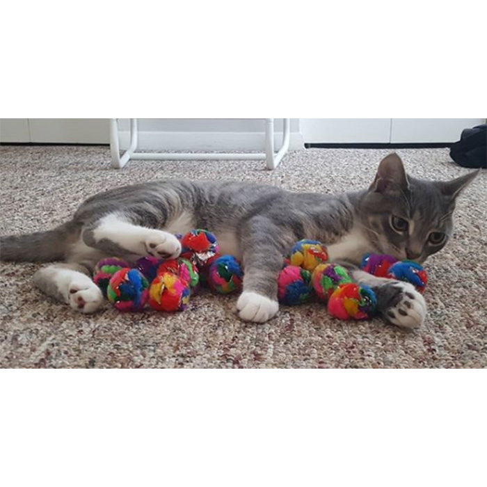 Cancor Innovations Mini Crinkle Ball Cat Toy - Image 6
