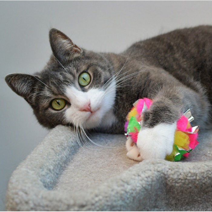 Cancor Innovations Original Crinkle Ball Cat Toy - Image 5