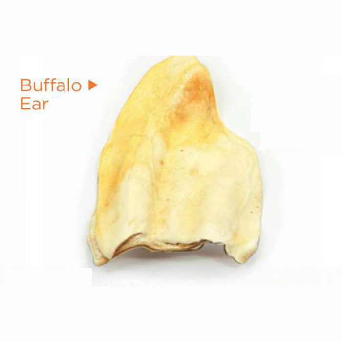 Advance Pet Products Buffalo Ear Dog Treats (Single) - Image 1