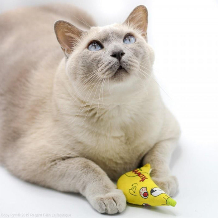Yeowww! Chubby Mouse Catnip Cat Toy - Image 3
