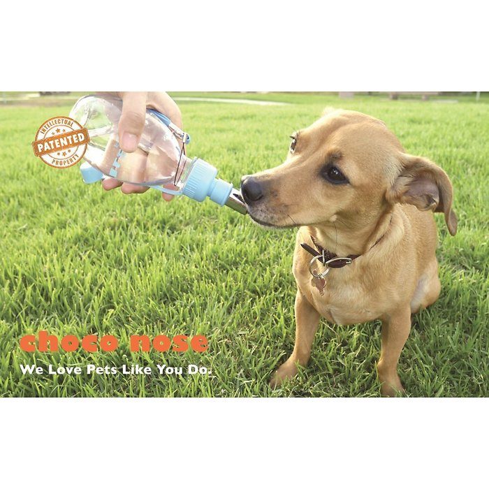 Choco Nose H258 Modern Portable Pet Water Bottle, 8-oz - Image 4