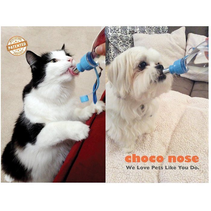 Choco Nose H258 Modern Portable Pet Water Bottle, 8-oz - Image 5
