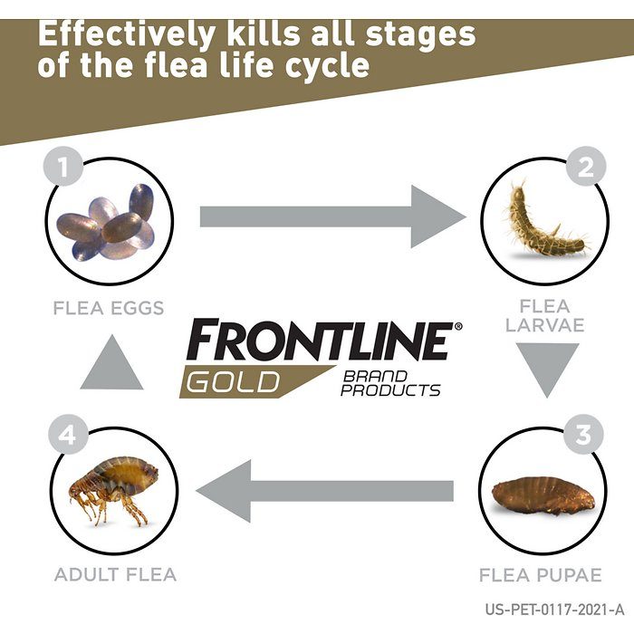 Frontline Gold Flea & Tick Treatment for Medium Dogs, 23-44 lbs - Image 5