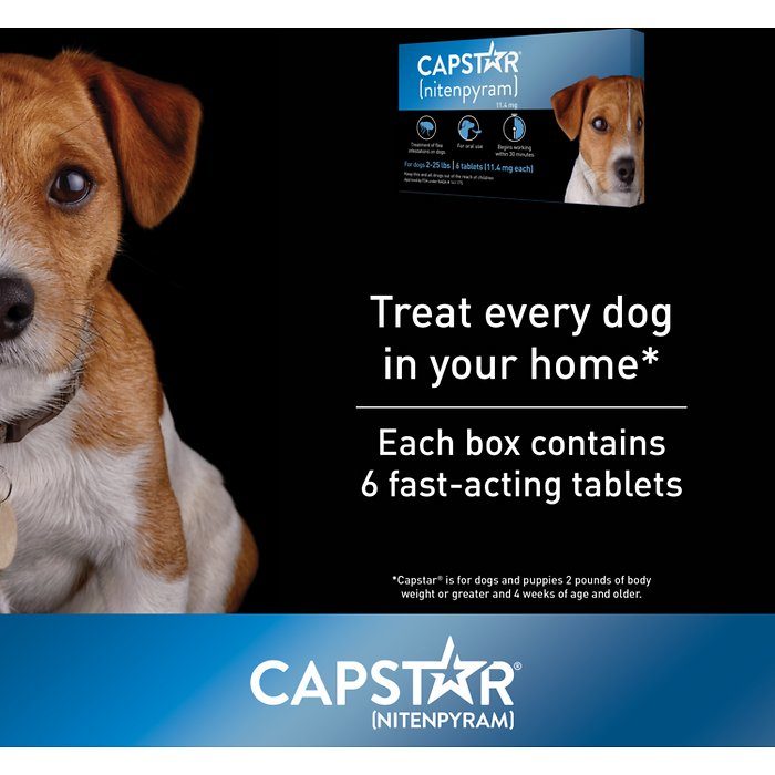 Capstar Flea Oral Treatment for Dogs 2-25 lbs, 6 Tablets - Image 3