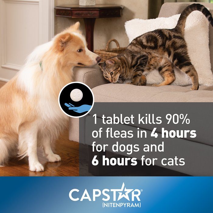 Capstar Flea Oral Treatment for Dogs 2-25 lbs, 6 Tablets - Image 4