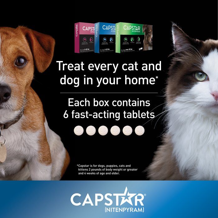 Capstar Flea Oral Treatment for Dogs 2-25 lbs, 6 Tablets - Image 5