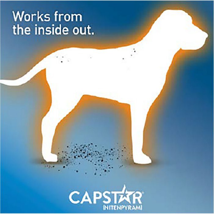 Capstar Flea Oral Treatment for Dogs 2-25 lbs, 6 Tablets - Image 7