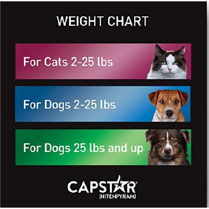 Capstar Flea Oral Treatment for Dogs 2-25 lbs, 6 Tablets - Image 8